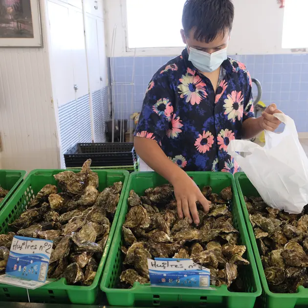 Ft Man Sorting Oysters Courtesy Agricultural And Rural Convention