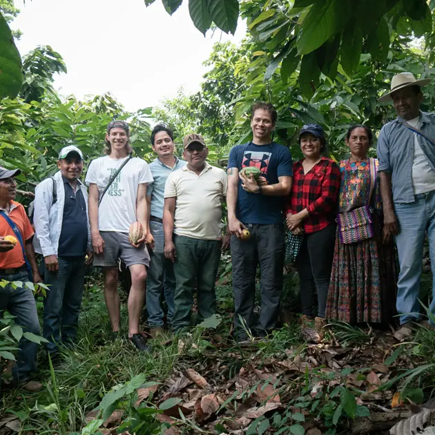 H Alterna Choco Sero 2023