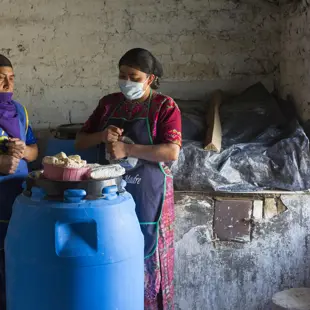2152 Women Cultivating Mushrooms Lirio De Los Valles Alterna Copyright Stuart Freedman
