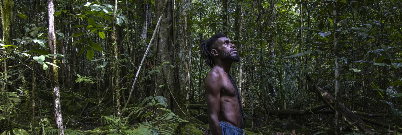 Native man in a forest looking up at the trees