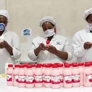 218 Woman Pasting Stickers On Products Growth Africa Classic Foods Copyright Stuart Freedman