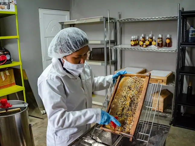 32 Woman Cleaning Honey Collecting Net Comjeruma Thriivenicaragua Copyright Thriive Nicaragua