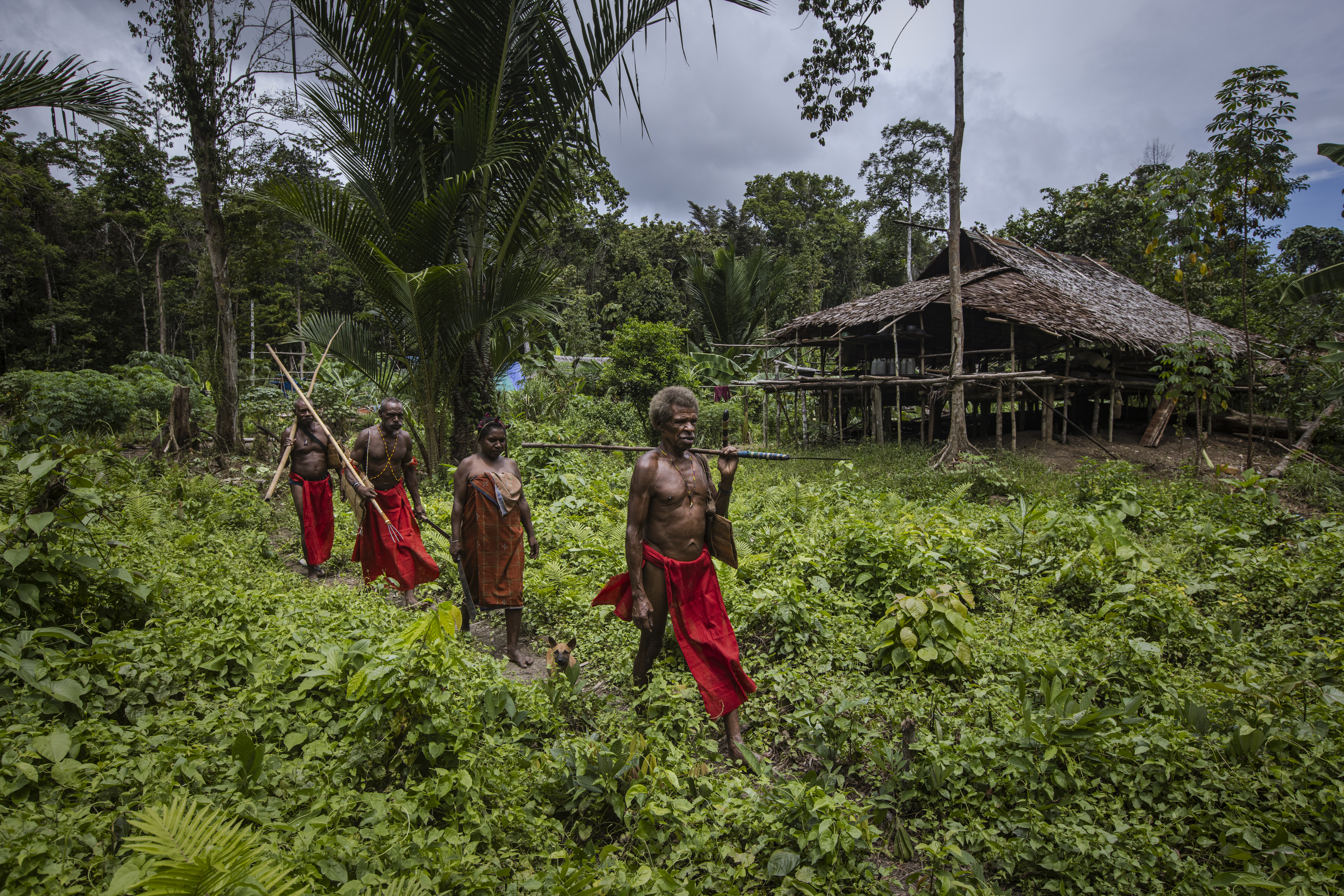 4 tribesmen walking through a field