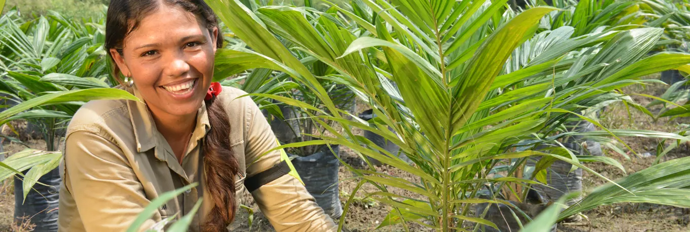 Woman in field growing ferns