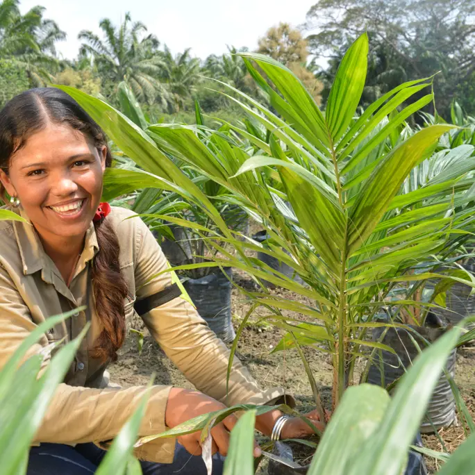 Woman in field growing ferns