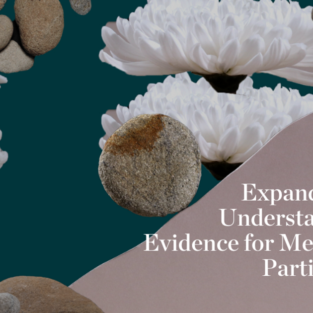 Understanding The Effectiveness Of Participatory Approaches In Philanthropy