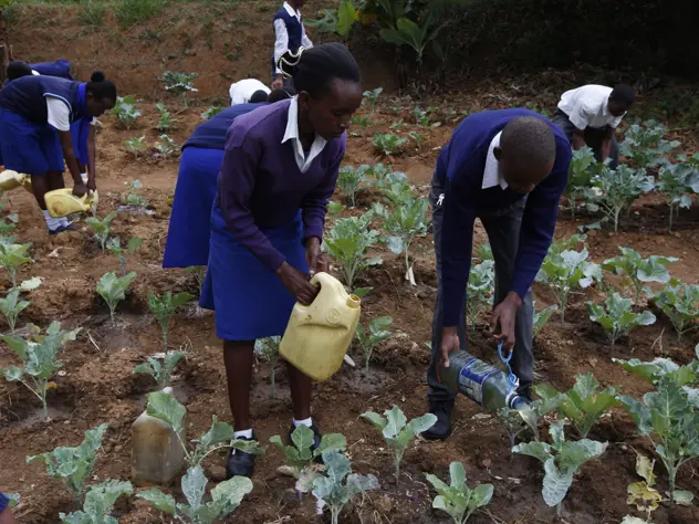 School children in uniform, watering plants in a field