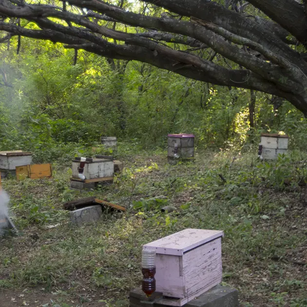 2115 Two Beekeepers Smoking Out Beehive Pefamsa Bpn Stuart Freedman Banner