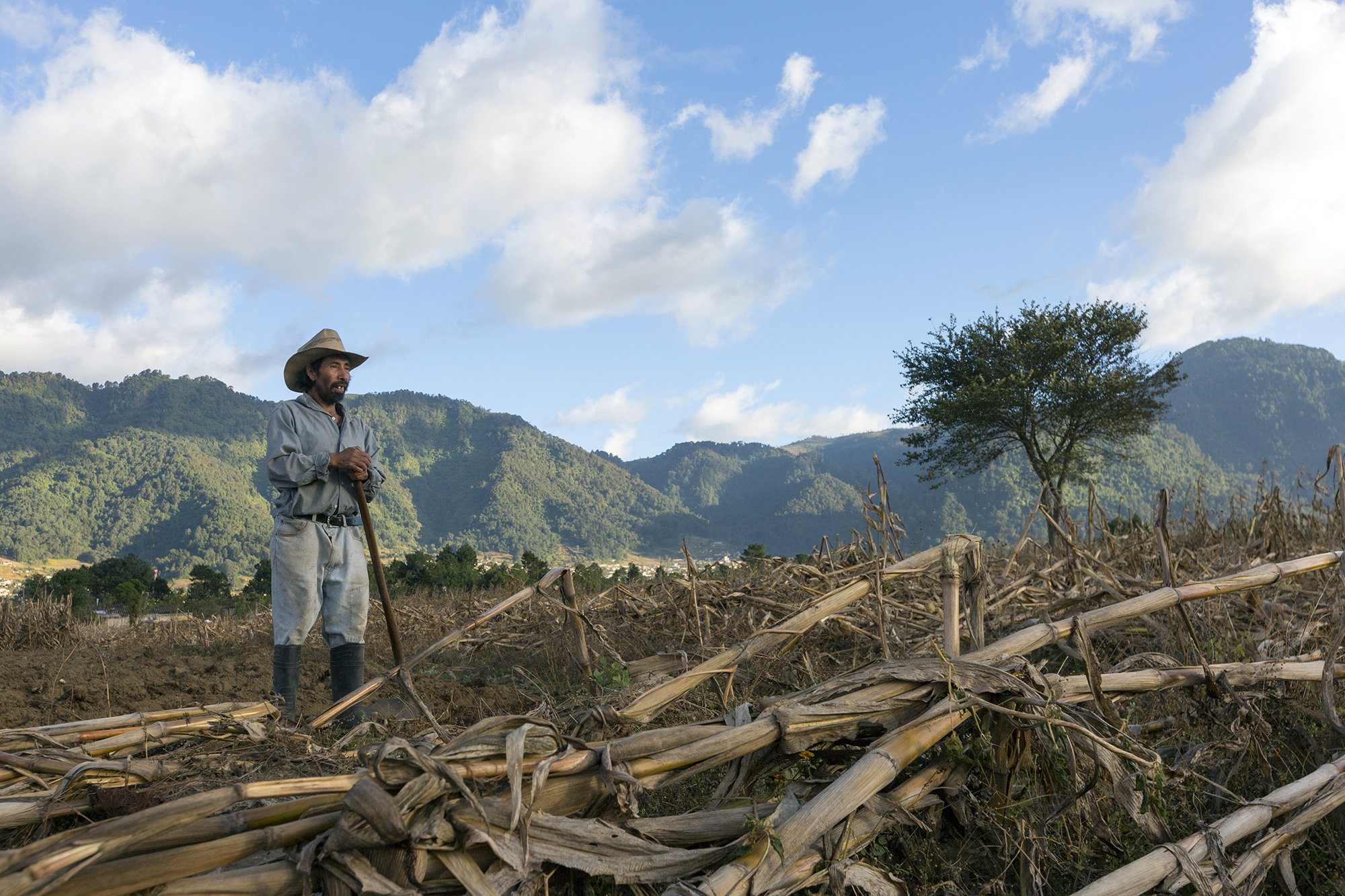 2131 Farmer In Field Lirio De Los Valles Alterna Stuart Freedman