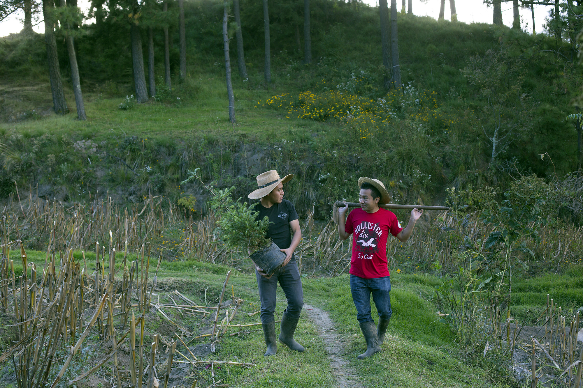 2138 Two Men Walking In Field Pinabetes Alterna Stuart Freedman