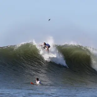 Man surfing Olas Permanentes 1 2023
