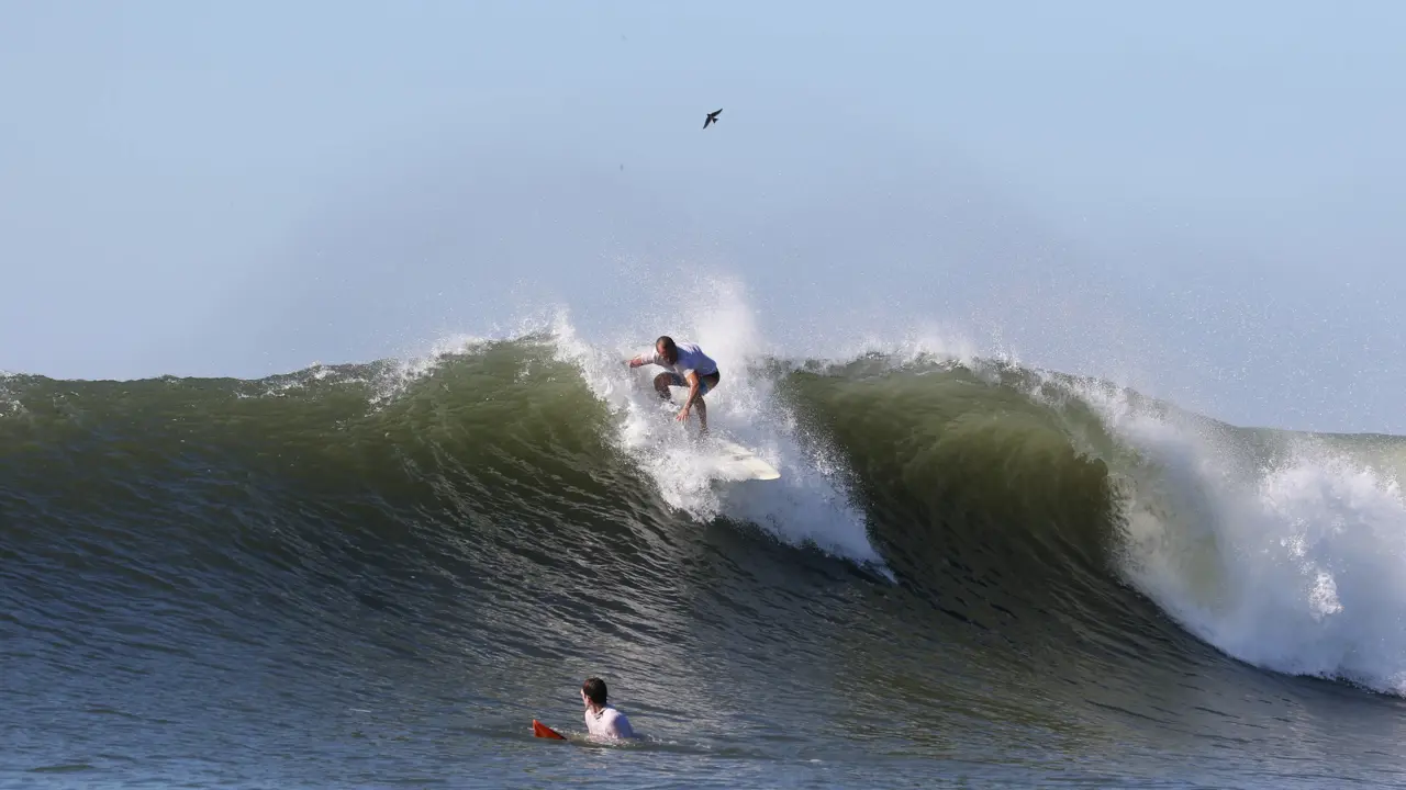 Olas Permanentes 1 2023