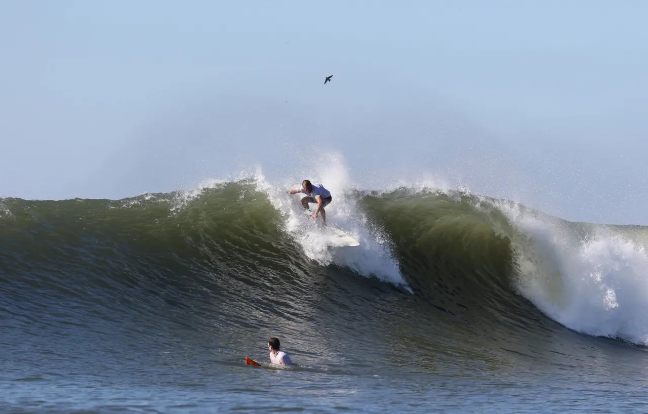 Olas Permanentes 1 2023