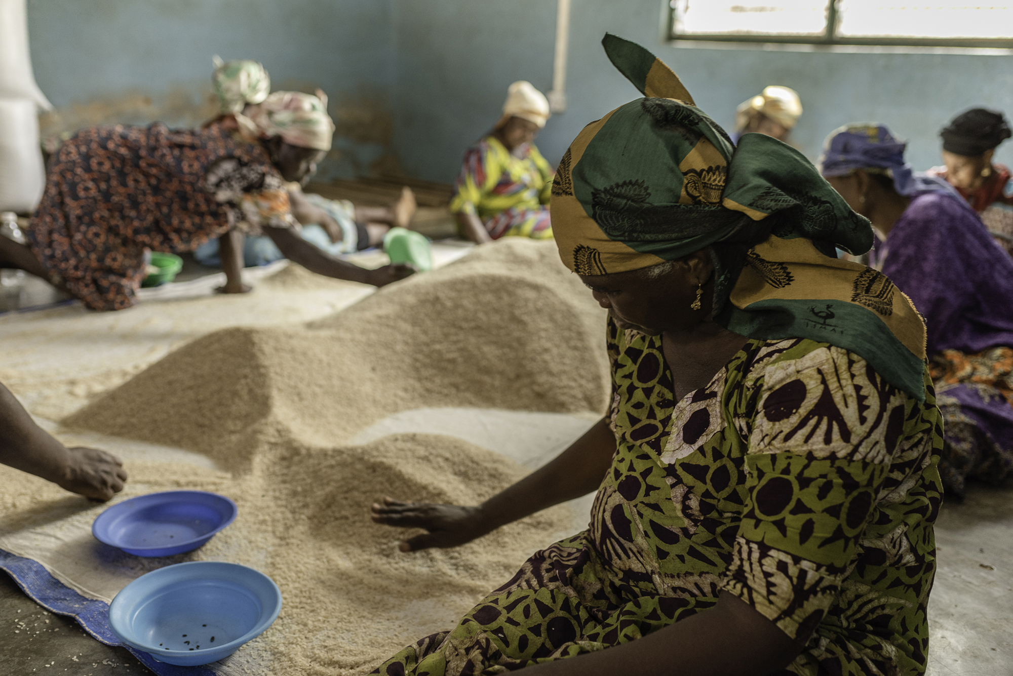 215 Women Inspecting Rice Courtesy Acre