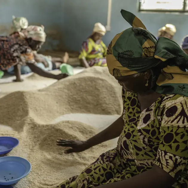 215 Women Inspecting Rice Courtesy Acre