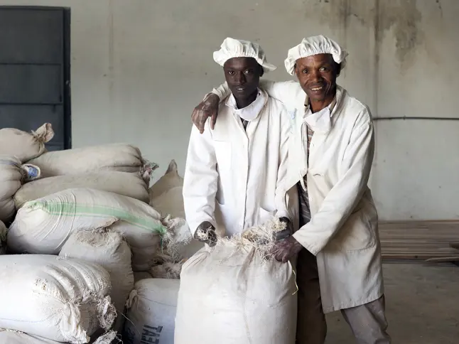 13 Men With Flour Bags Growth Africa Classic Foods Copyright Stuart Freedman