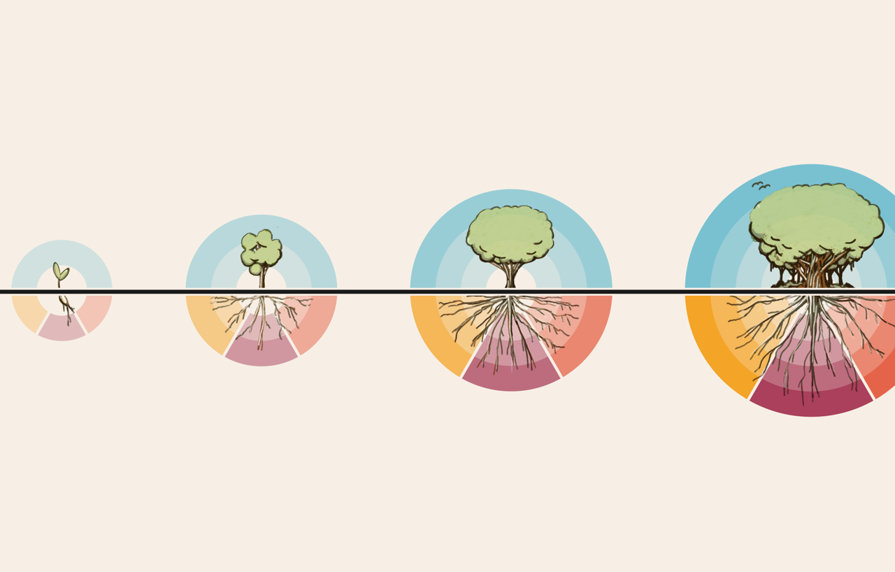 Sustain Impact Tree Growth