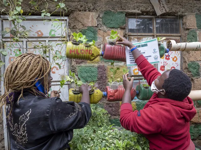 2142 Women Planting Vegetables Somo Mwengenye Greens Copyright Sven Torfinn Panos