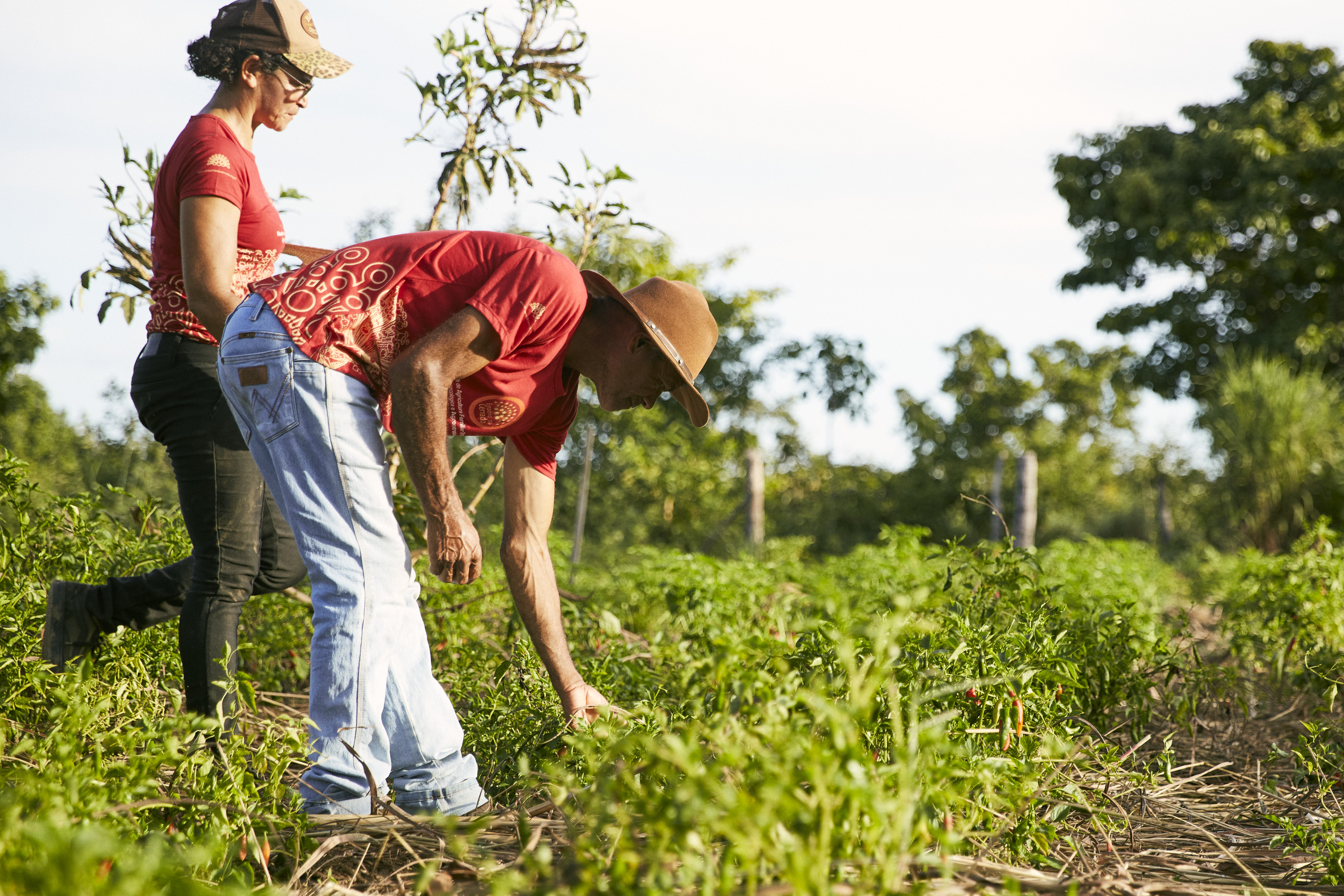 Two people working in a field